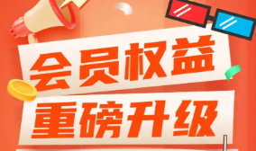 虚拟会员卡管理系统界面示例